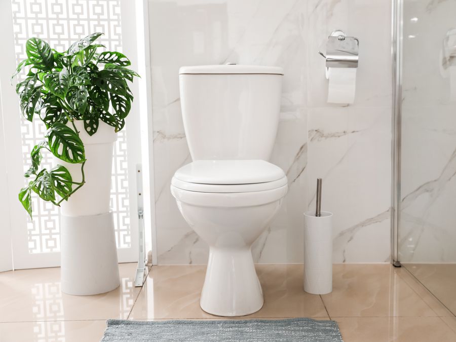 Toilet Installation Comox, BC
